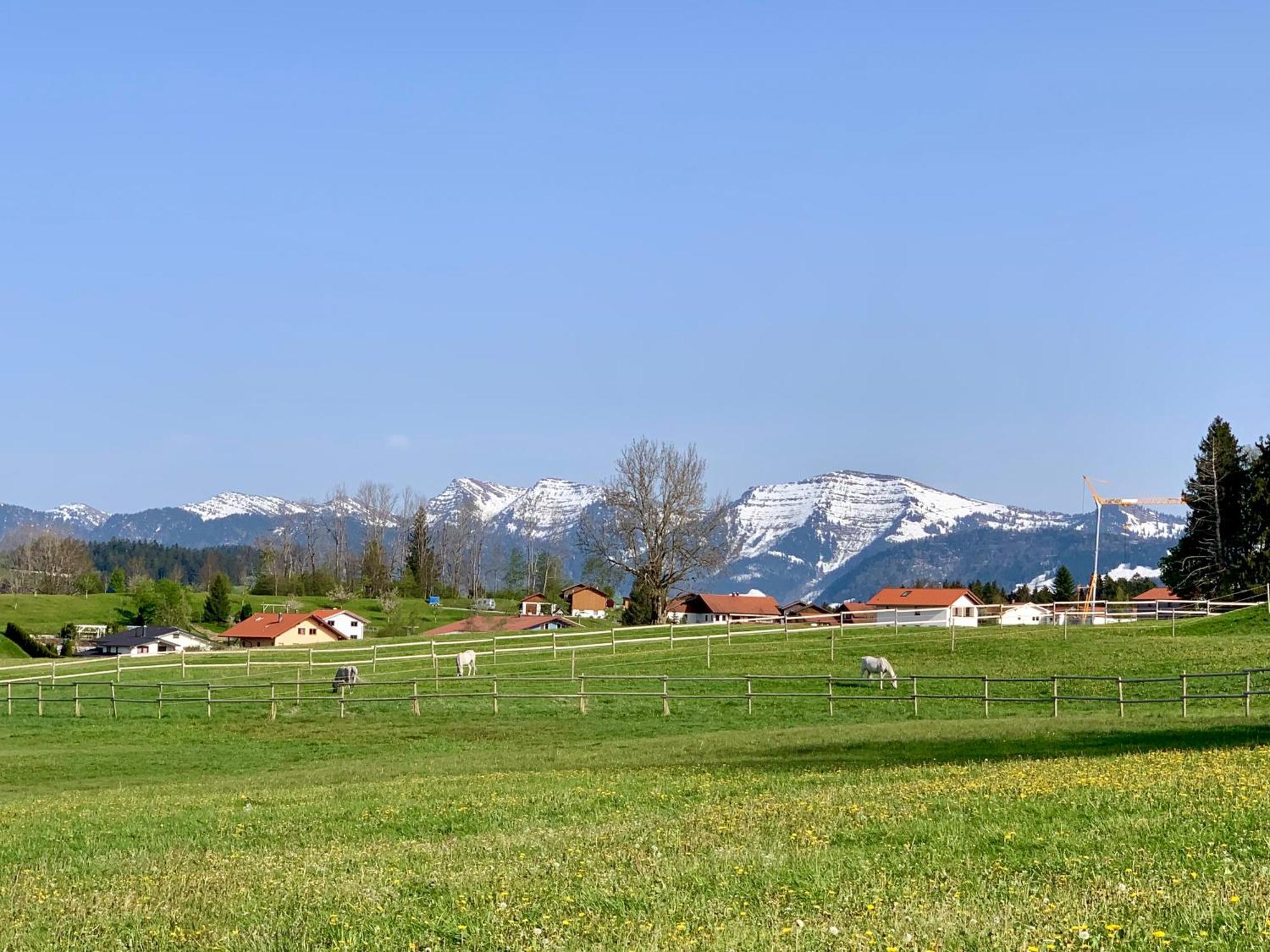 Lindners Hideaways - Bergnest Lodge - Bergblick Fewo 6 Pers Balkon Garten Hund Ski Unterkunft Luftkurort Oberreute Naehe Buchenegger Wasserfaelle Eistobel Bodensee ภายนอก รูปภาพ
