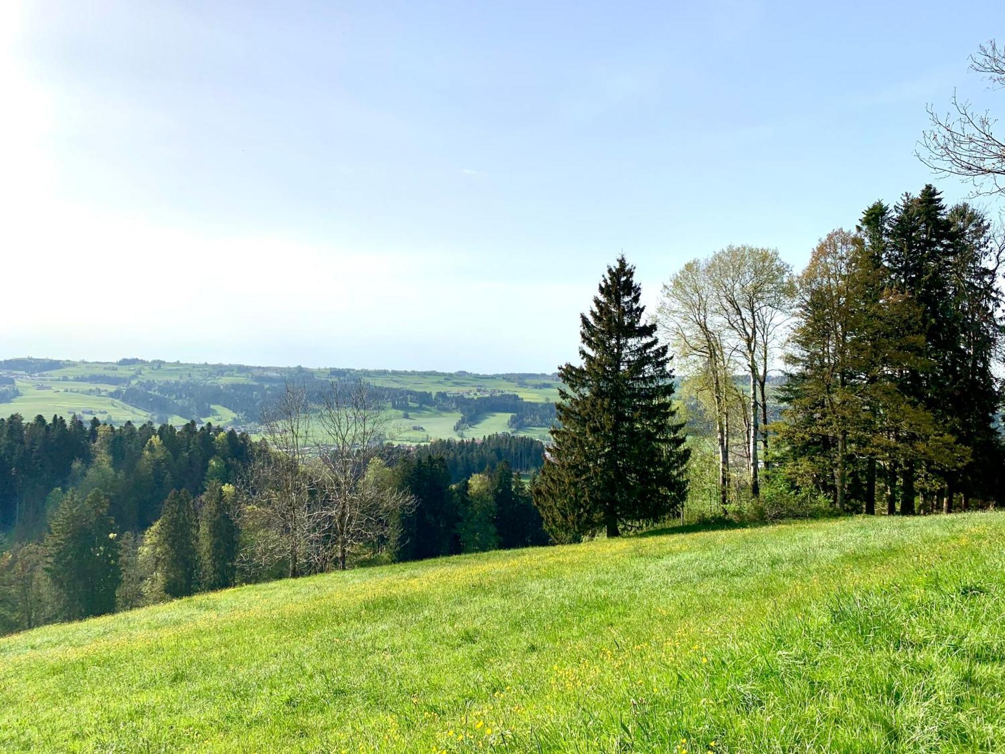 Lindners Hideaways - Bergnest Lodge - Bergblick Fewo 6 Pers Balkon Garten Hund Ski Unterkunft Luftkurort Oberreute Naehe Buchenegger Wasserfaelle Eistobel Bodensee ภายนอก รูปภาพ